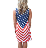 Flag Sleeveless Dress