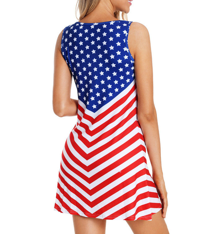 Flag Sleeveless Dress